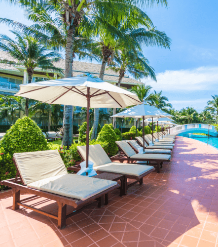 Galería De Diapositivas