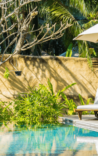 Galería De Diapositivas